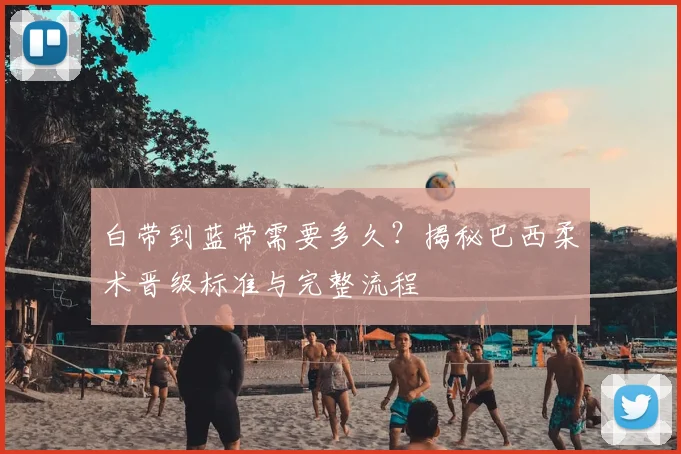 白带到蓝带需要多久?揭秘巴西柔术晋级标准与完整流程