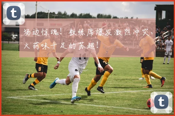 场边惊魂！教练席爆发激烈冲突，火药味十足的苏超！