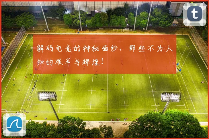 解码电竞的神秘面纱,那些不为人知的艰辛与辉煌!