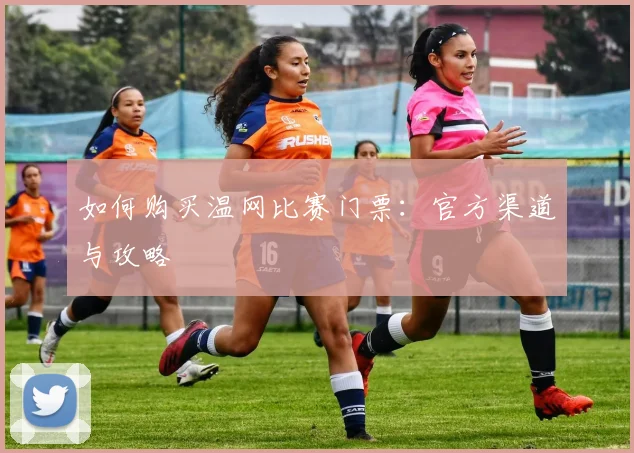 如何购买温网比赛门票：官方渠道与攻略