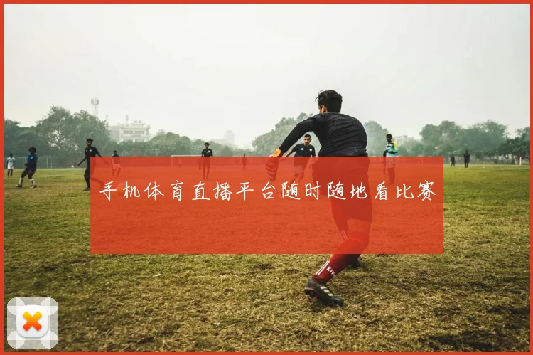 手机体育直播平台随时随地看比赛