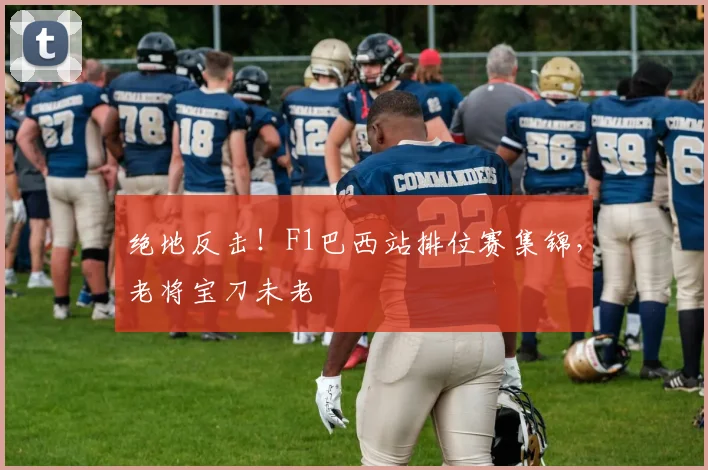 绝地反击！F1巴西站排位赛集锦，老将宝刀未老
