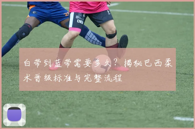白带到蓝带需要多久?揭秘巴西柔术晋级标准与完整流程